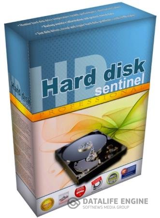 постер к Hard Disk Sentinel Pro 5.61.5 Build 11463 Beta