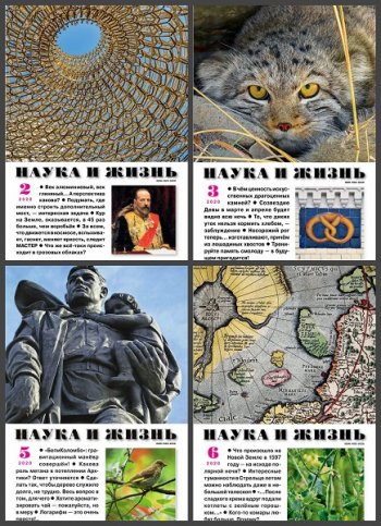 постер к Подшивка журнала - Наука и жизнь за 2020 год