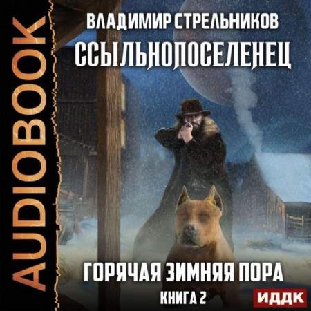 постер к Владимир Стрельников - Горячая зимняя пора (Аудиокнига)