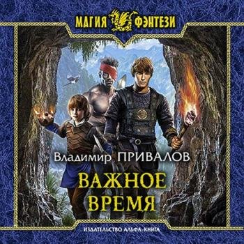 постер к Привалов Владимир - Важное время (Аудиокнига)