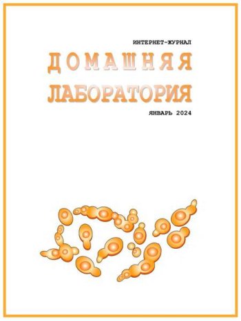 постер к Домашняя лаборатория №1 (январь 2024)