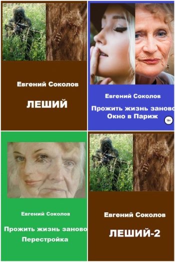 постер к Евгений Соколов. Сборник произведений. 13 книг (2021-2025)