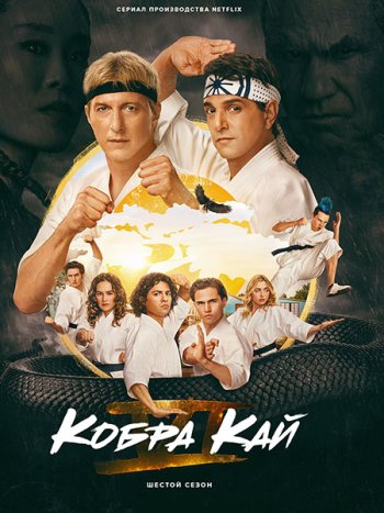 постер к Кобра Кай (6 сезон) / Cobra Kai (2024-2025) WEB-DLRip