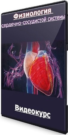 постер к [semkoschool] Физиология сердечно-сосудистой системы (Анастасия Семко) (2025) Видеокурс